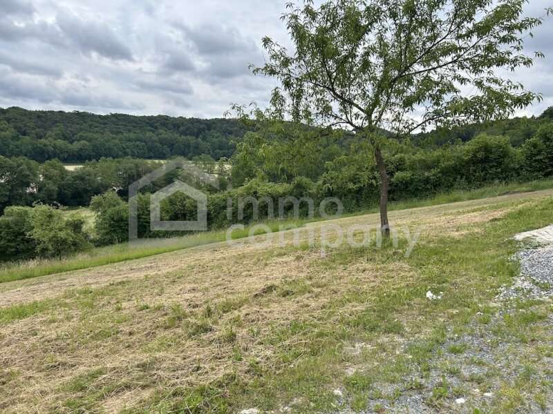 Haus in Sankt Martin an der Raab - Bild 15