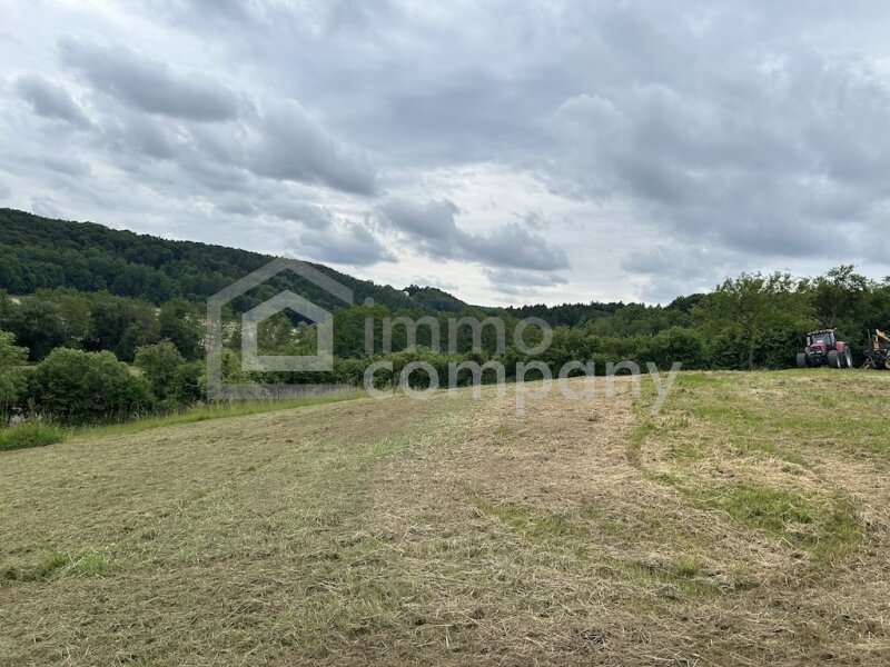 Haus in Sankt Martin an der Raab - Bild 16