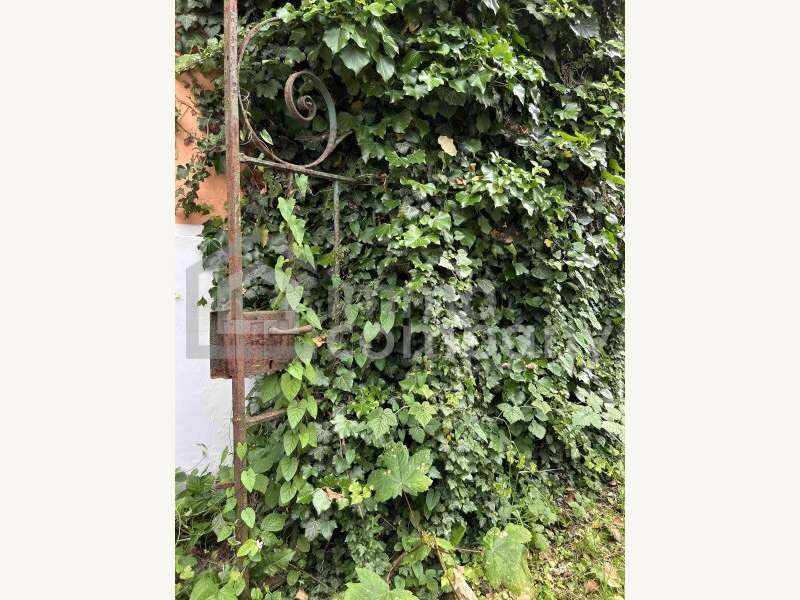 Villa in Salzburg - Bild 6 Villa in Salzburg - Bild 6