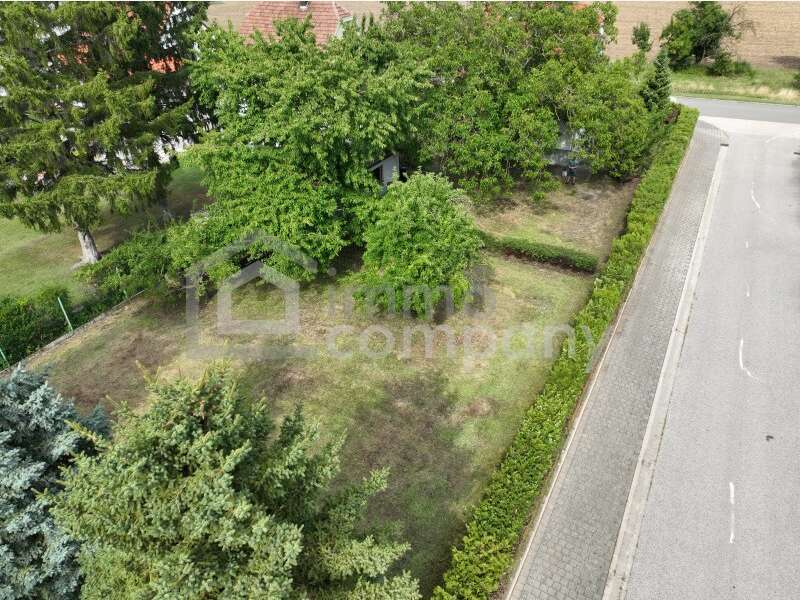 Haus in Trautmannsdorf an der Leitha - Bild 2