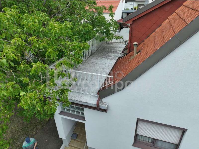 Haus in Trautmannsdorf an der Leitha - Bild 4