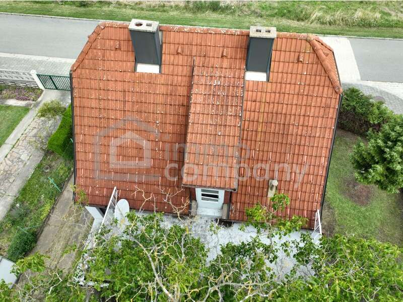 Haus in Trautmannsdorf an der Leitha - Bild 7