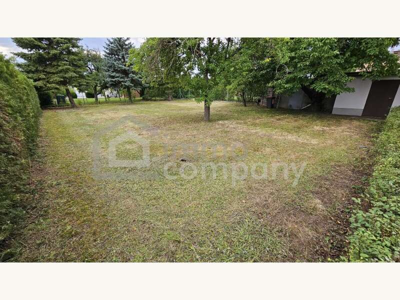 Haus in Trautmannsdorf an der Leitha - Bild 8