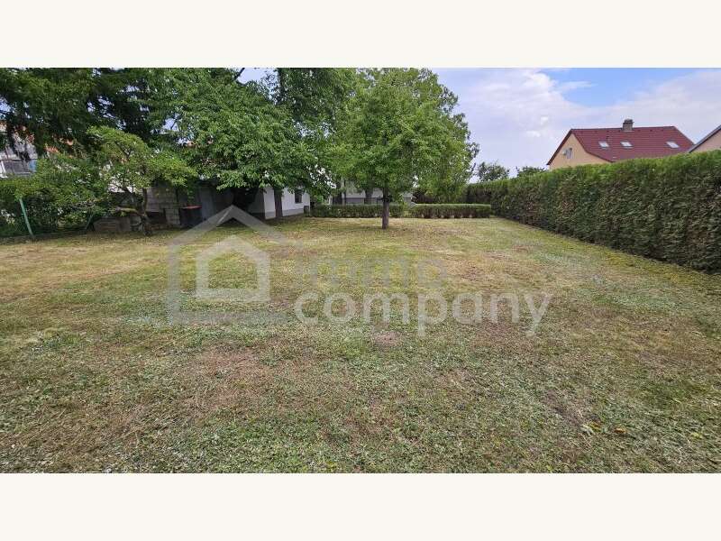 Haus in Trautmannsdorf an der Leitha - Bild 9