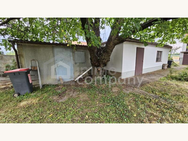 Haus in Trautmannsdorf an der Leitha - Bild 18