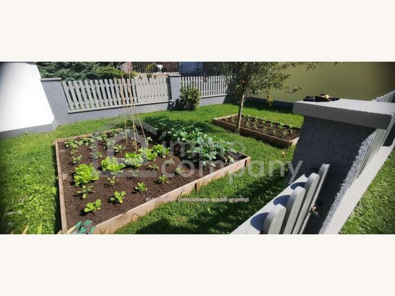 Bungalow in Kleinhöflein im Burgenland - Bild 6