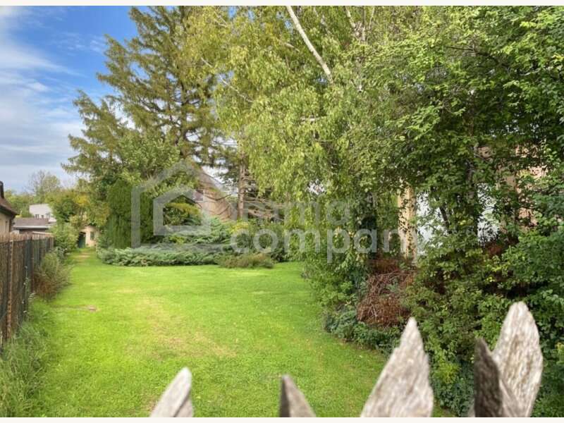 Einfamilienhaus Schwadorf: Gartenansicht 1 Gartenansicht 1