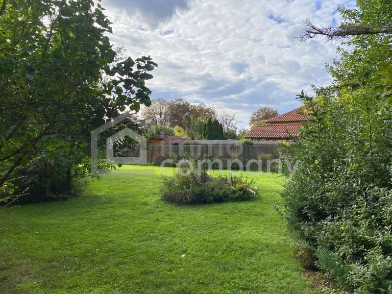 Einfamilienhaus Schwadorf: Freiraum Freiraum