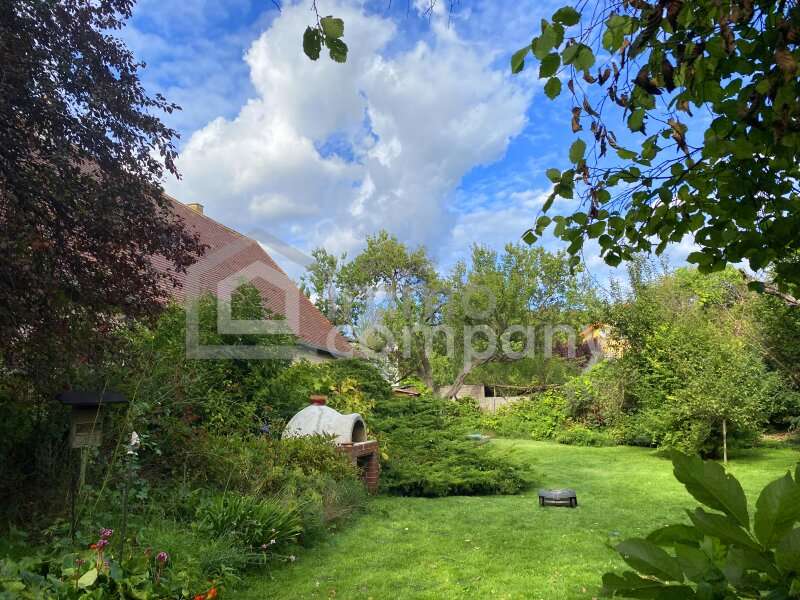 Einfamilienhaus Schwadorf: Gartengrill-Pizzaofen Gartengrill-Pizzaofen