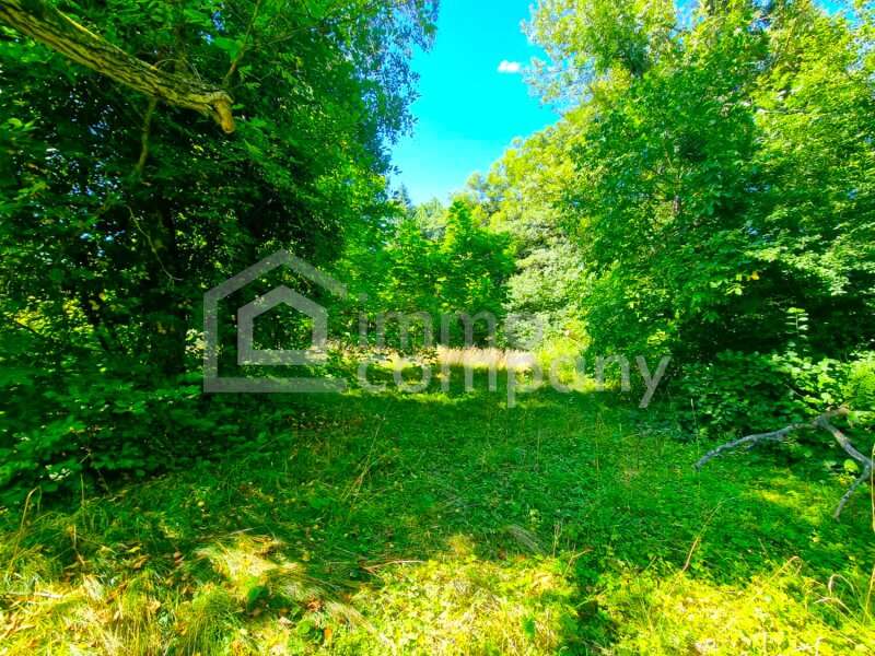 Haus in Tullnerbach-Lawies - Bild 6