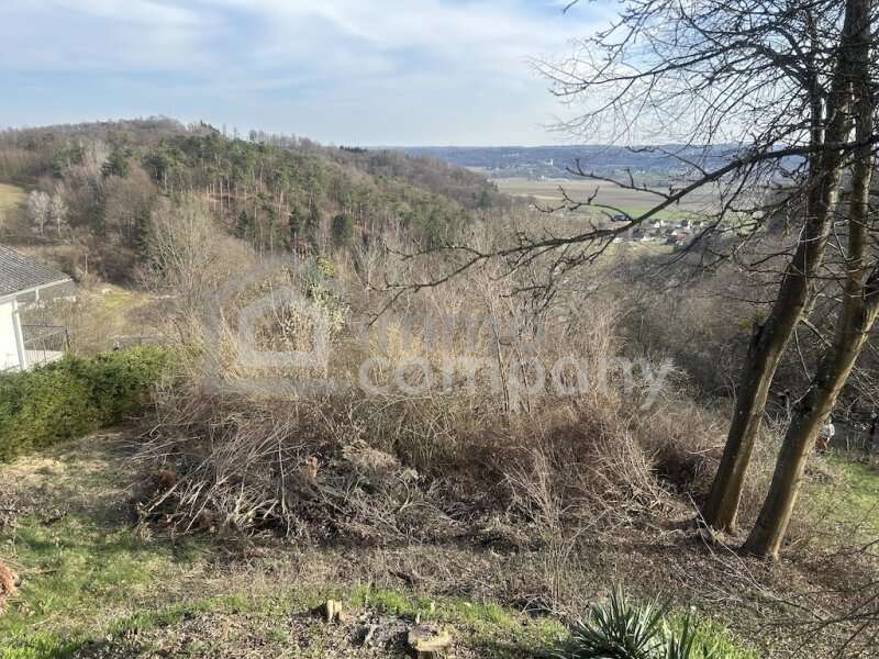 Haus in Jennersdorf - Bild 4