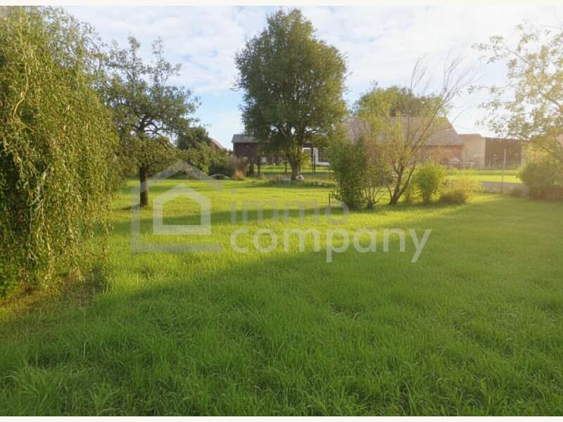 Einfamilienhaus in Dobermannsdorf - Bild 10