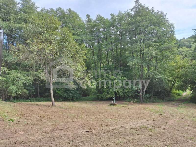 Haus in Heiligenkreuz im Lafnitztal - Bild 16 Haus in Heiligenkreuz im Lafnitztal - Bild 16