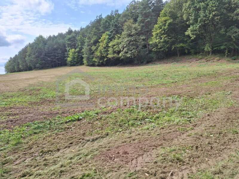 Haus in Heiligenkreuz im Lafnitztal - Bild 17 Haus in Heiligenkreuz im Lafnitztal - Bild 17