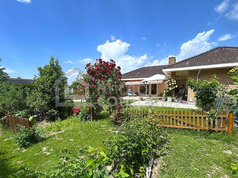 Einfamilienhaus in Enzersdorf an der Fischa - Bild 18