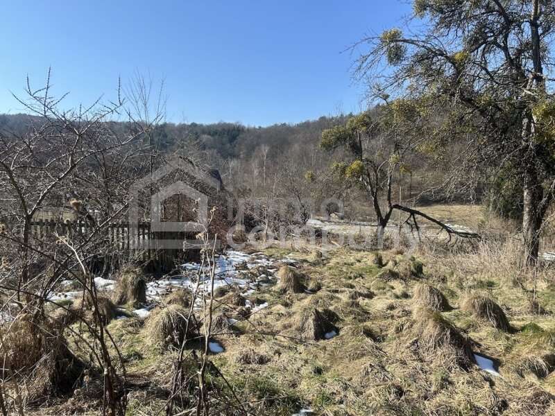 Bauernhaus in Minihof-Liebau - Bild 18