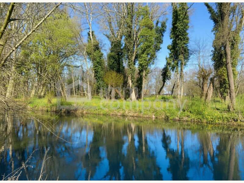 Einfamilienhaus in Gattendorf - Bild 3