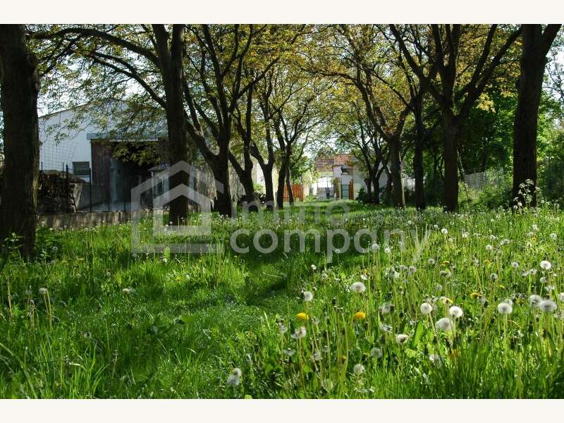 Einfamilienhaus in Gattendorf - Bild 4