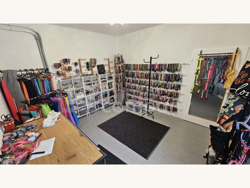 Haus in Mannersdorf am Leithagebirge - Bild 17