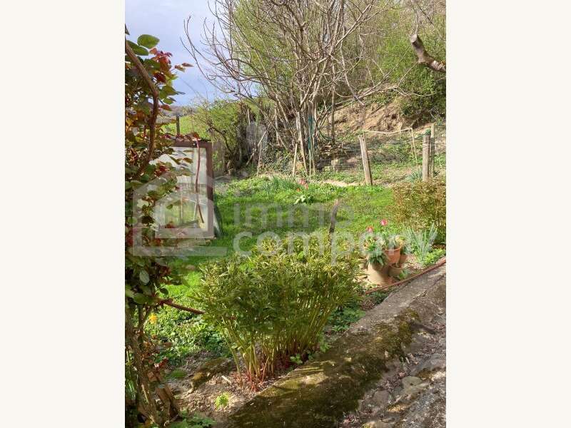 Bauernhaus in Trautmannsdorf - Bild 3 Bauernhaus in Trautmannsdorf - Bild 3