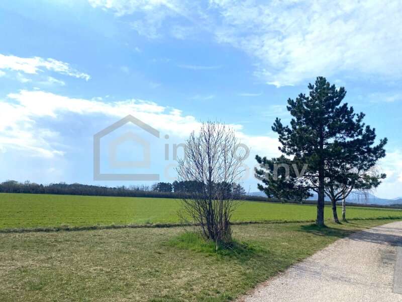 Einfamilienhaus in Felixdorf - Bild 2