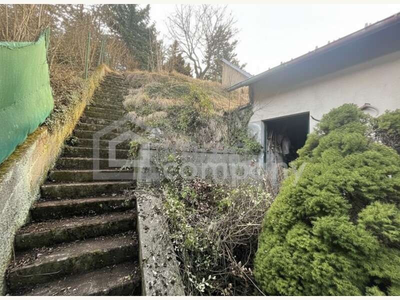 Bungalow in Maria Raisenmarkt - Bild 8