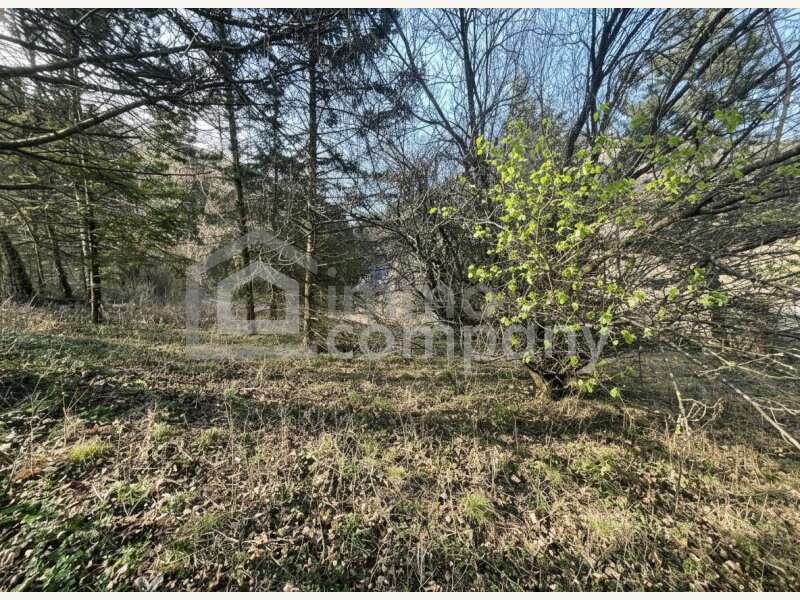 Bungalow in Maria Raisenmarkt - Bild 9