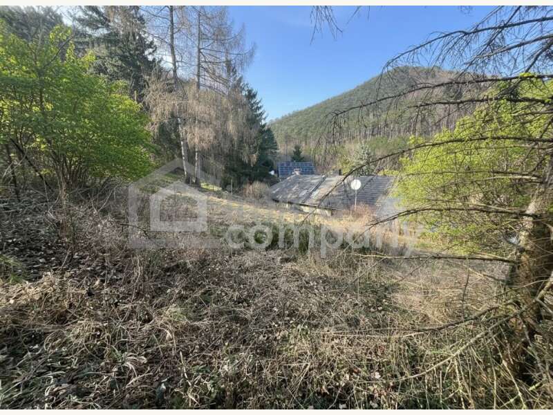 Bungalow in Maria Raisenmarkt - Bild 11