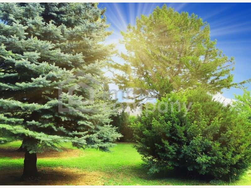 Einfamilienhaus in Ebreichsdorf - Bild 2 Einfamilienhaus in Ebreichsdorf - Bild 2