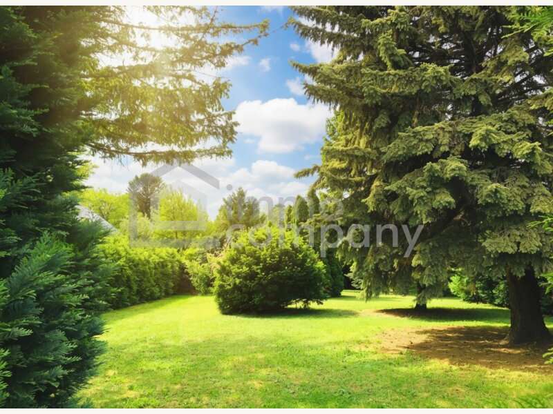 Einfamilienhaus in Ebreichsdorf - Bild 3 Einfamilienhaus in Ebreichsdorf - Bild 3