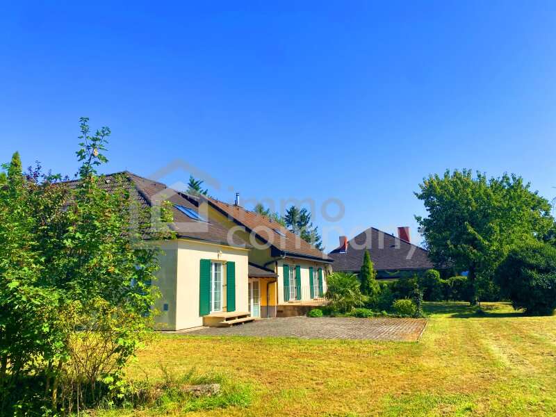 Einfamilienhaus in Breitenbrunn am Neusiedler See - Bild 12