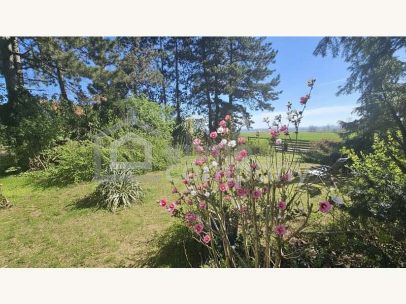 Bungalow in Manhartsbrunn - Bild 2