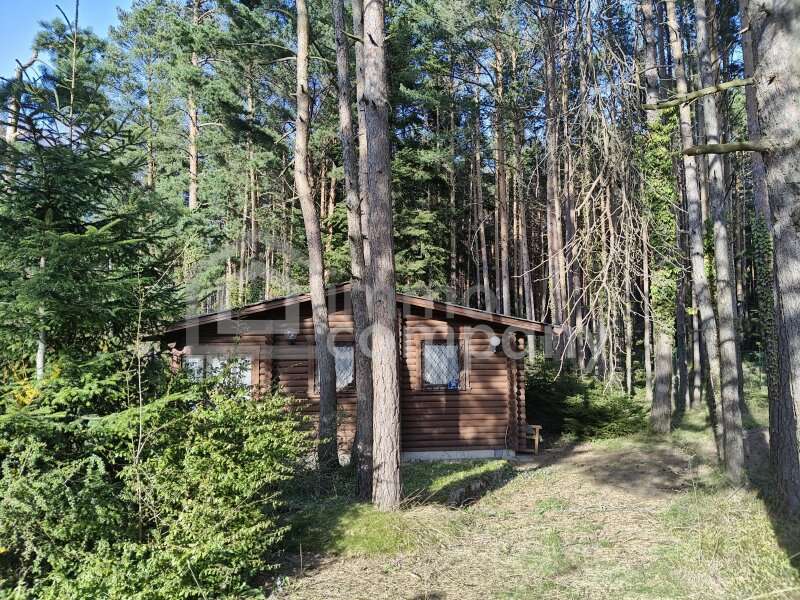 Bungalow in Hollenthon - Bild 2