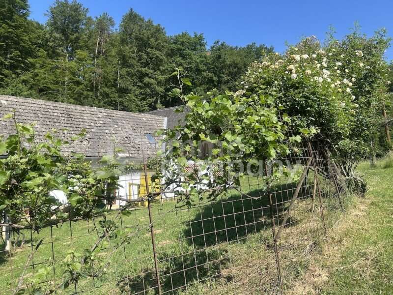 Bauernhaus in Jennersdorf - Bild 27