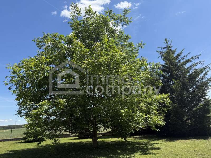 Haus in Neunkirchen - Bild 5