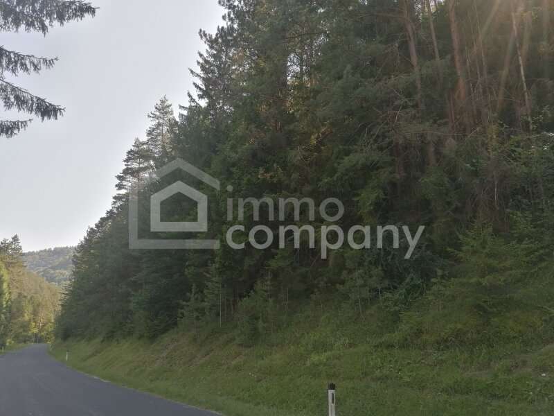 Einfamilienhaus in Pernitz - Bild 7 Einfamilienhaus in Pernitz - Bild 7