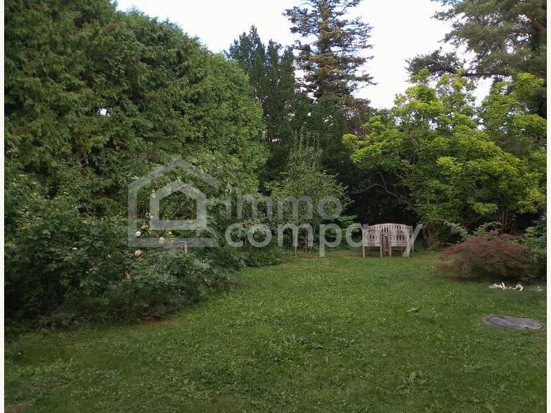 Villa Klosterneuburg: Garten Garten