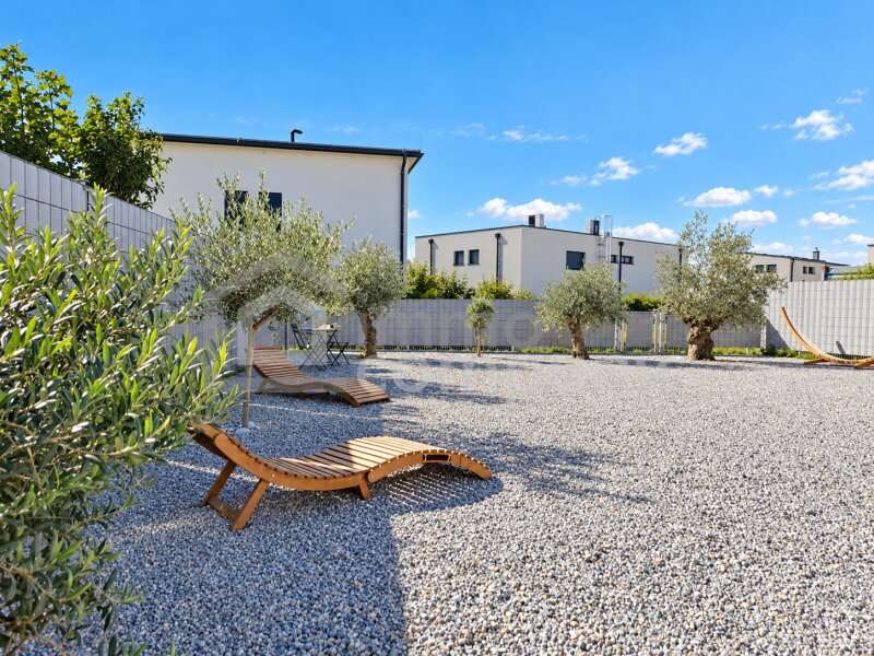 Haus Parndorf: Mediterranes Gartenflair mit Olivenbäumen und pflegeleichten Kiesflächen Mediterranes Gartenflair mit Olivenbäumen und pflegeleichten Kiesflächen