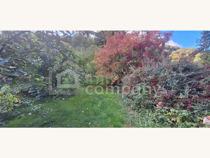 Dachgeschosswohnung Wien: Garten Garten