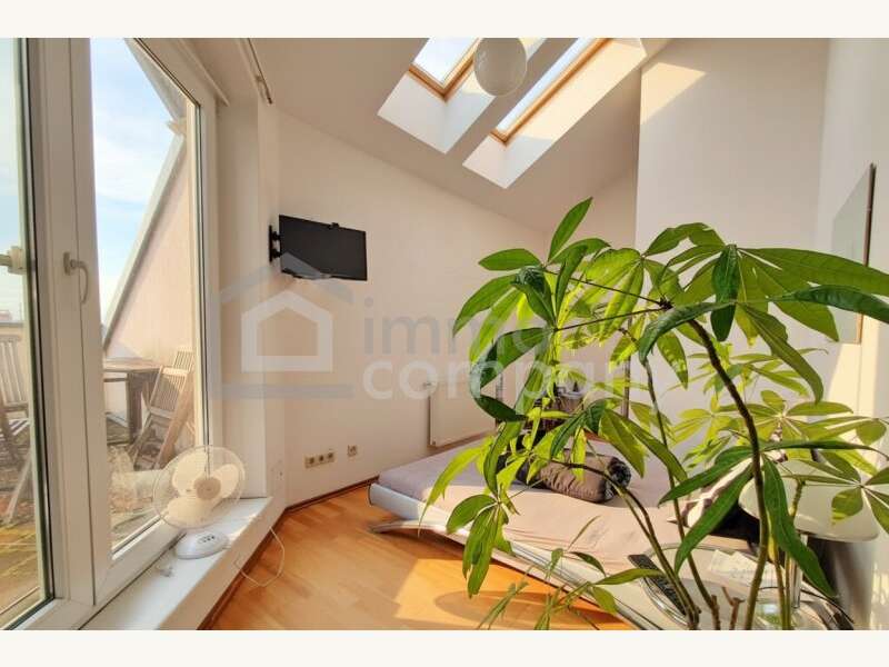 Apartement in Wien - Bild 3 Apartement in Wien - Bild 3