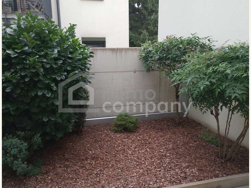 Garten hinten