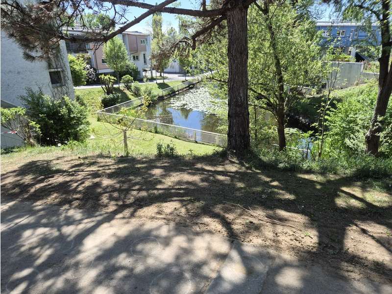 Eigentumswohnung Graz: Blick zum Teich der Anlage Blick zum Teich der Anlage