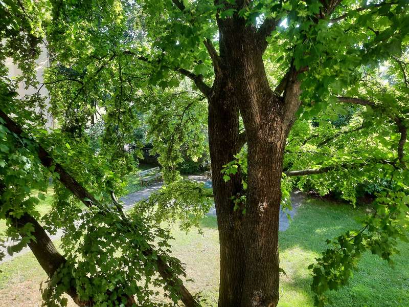 Grünblick