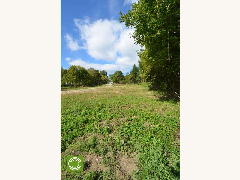 Baugrundstück in Hinterbrühl - Bild 5