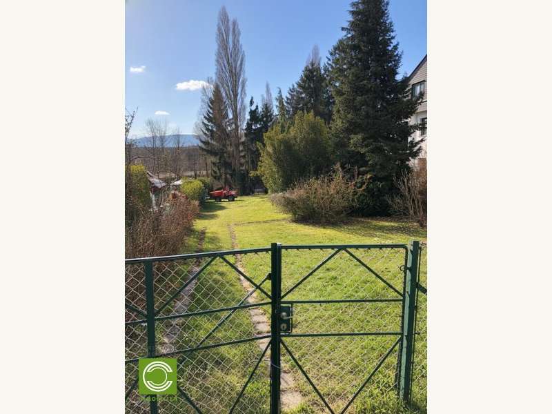 Baugrundstück in Gießhübl - Bild 2