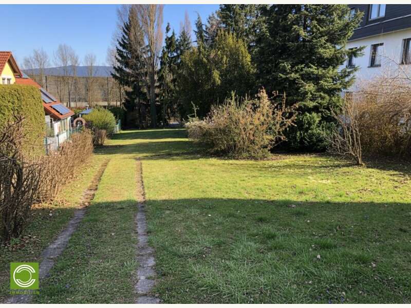 Baugrundstück in Gießhübl - Bild 3