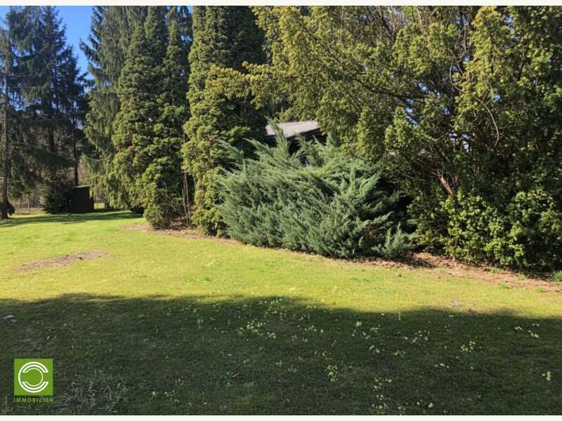 Baugrundstück in Gießhübl - Bild 4