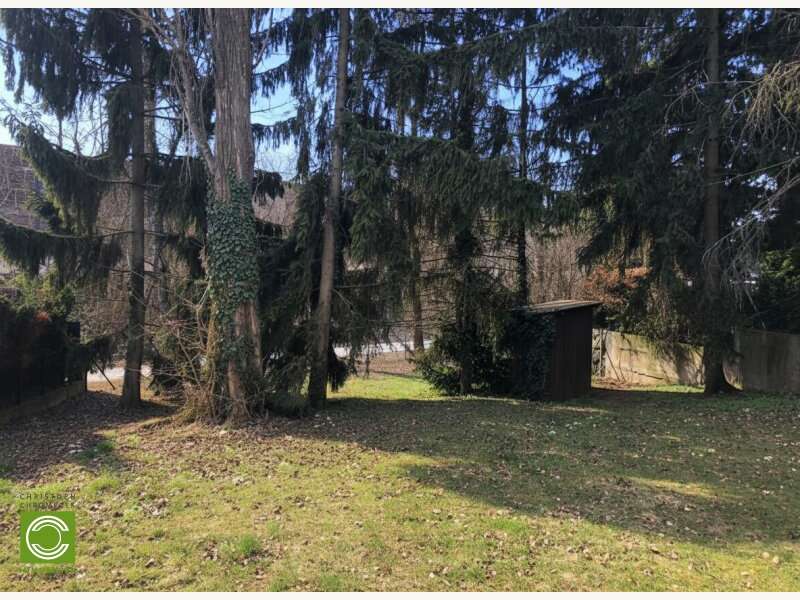 Baugrundstück in Gießhübl - Bild 5