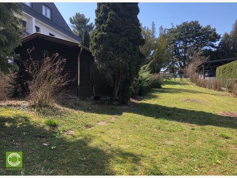 Baugrundstück in Gießhübl - Bild 6