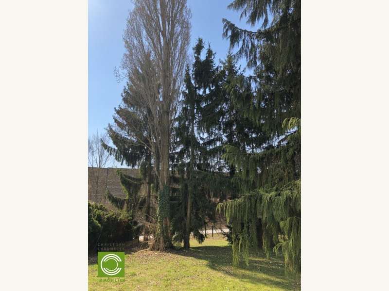 Baugrundstück in Gießhübl - Bild 8